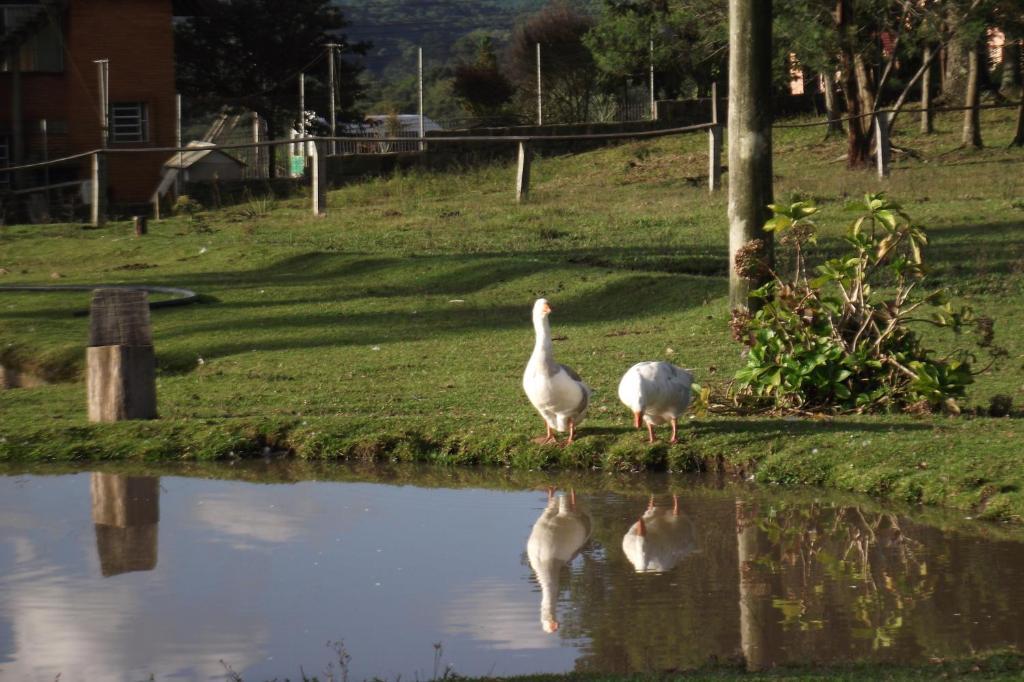 Hotel Fazenda Pampas カネラ エクステリア 写真