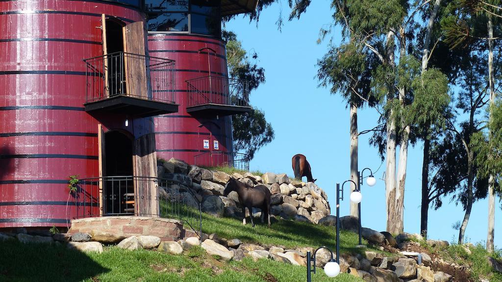Hotel Fazenda Pampas カネラ エクステリア 写真