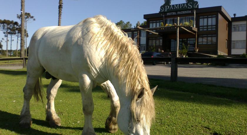 Hotel Fazenda Pampas カネラ エクステリア 写真